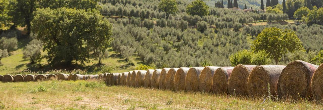 Agriturismo I Melograni Ferentillo Bagian luar foto