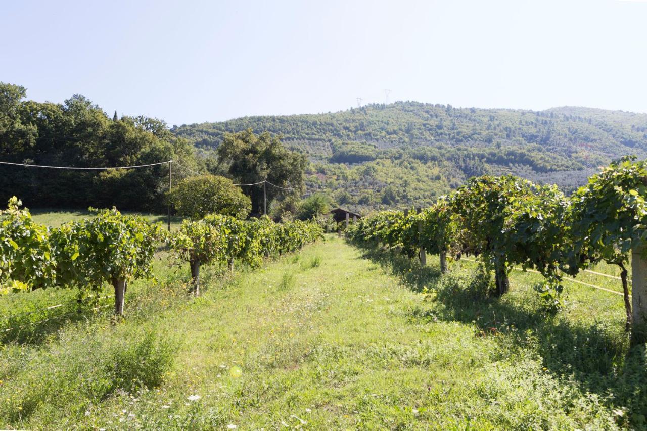Agriturismo I Melograni Ferentillo Bagian luar foto