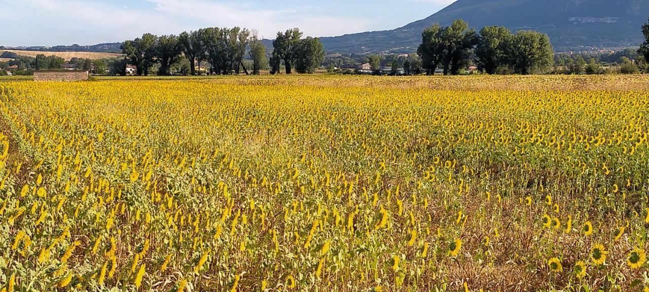 Agriturismo I Melograni Ferentillo Bagian luar foto