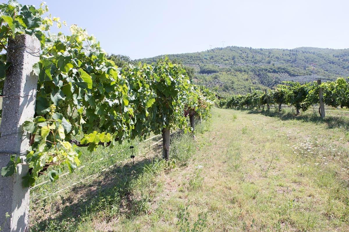 Agriturismo I Melograni Ferentillo Bagian luar foto