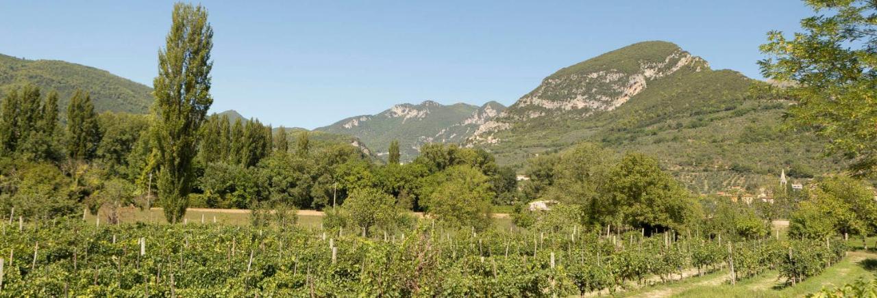 Agriturismo I Melograni Ferentillo Bagian luar foto