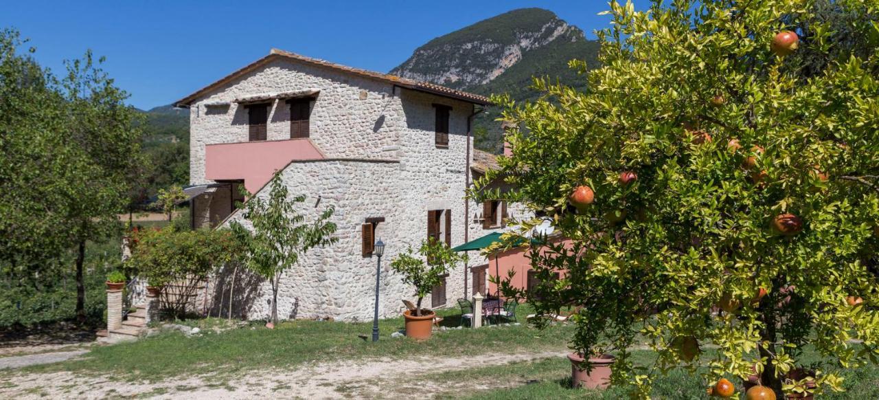 Agriturismo I Melograni Ferentillo Bagian luar foto