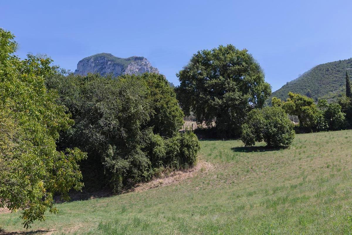 Agriturismo I Melograni Ferentillo Bagian luar foto