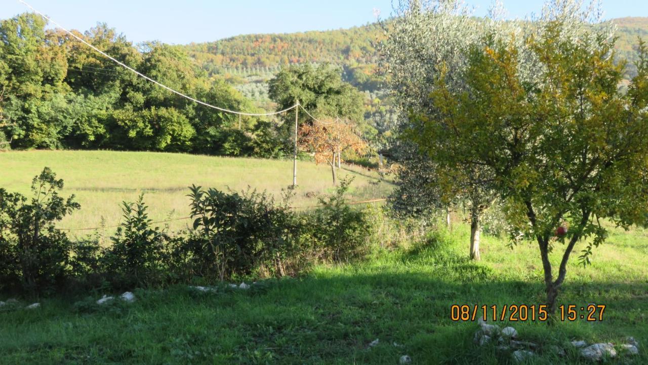 Agriturismo I Melograni Ferentillo Bagian luar foto
