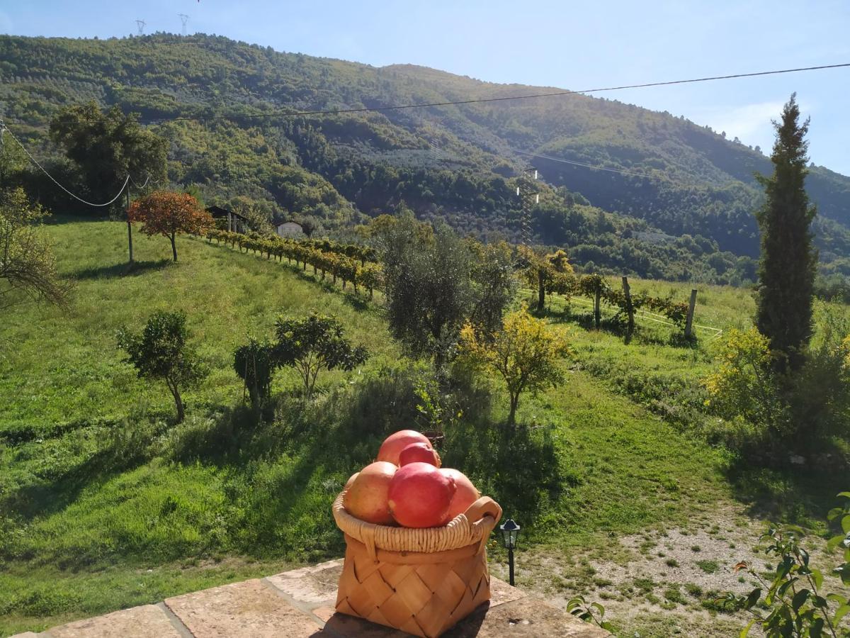 Agriturismo I Melograni Ferentillo Bagian luar foto