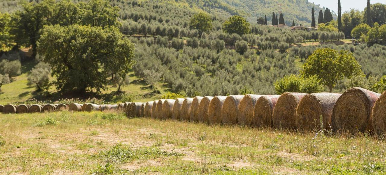 Agriturismo I Melograni Ferentillo Bagian luar foto