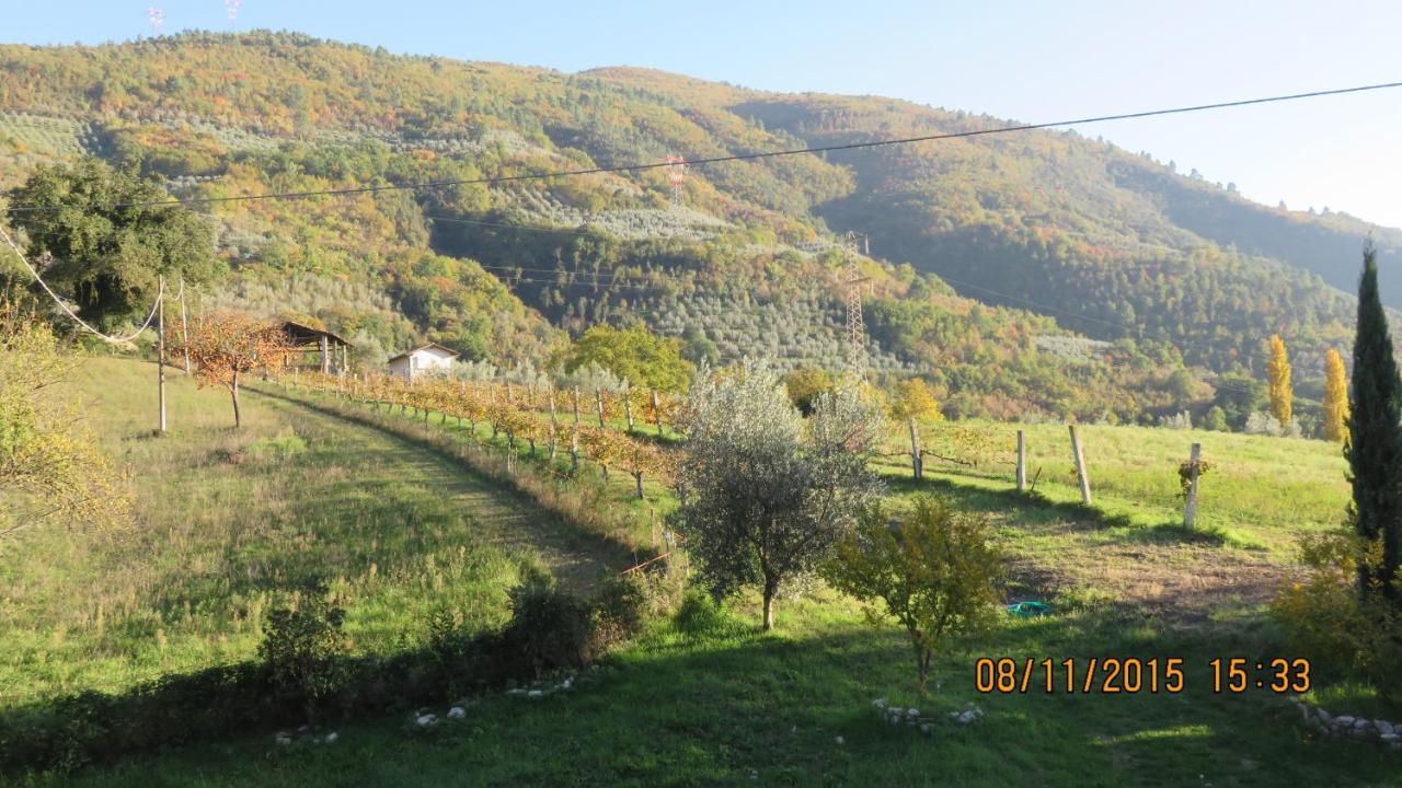 Agriturismo I Melograni Ferentillo Bagian luar foto