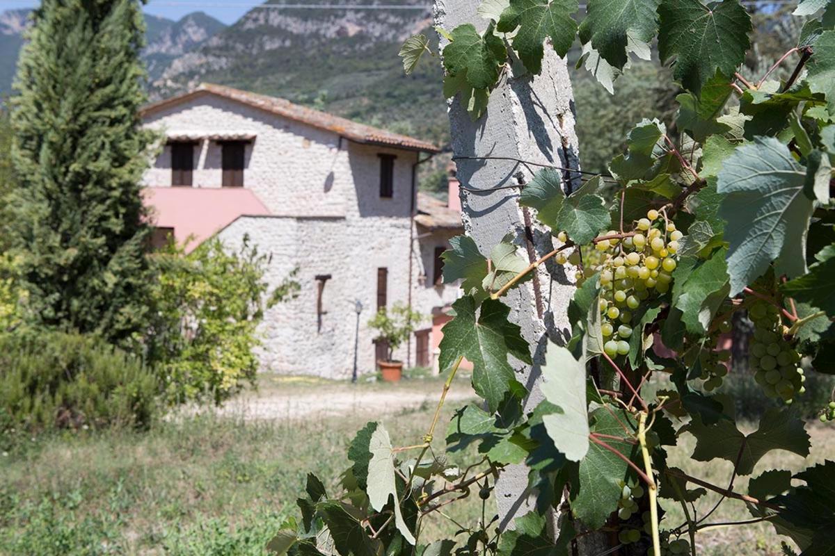 Agriturismo I Melograni Ferentillo Bagian luar foto