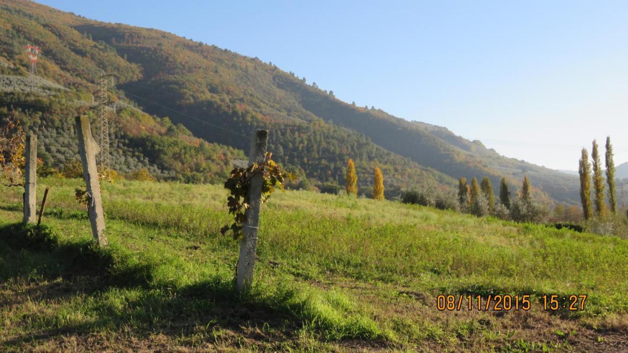 Agriturismo I Melograni Ferentillo Bagian luar foto